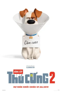 Xem phim Đẳng Cấp Thú Cưng 2 - RoPhim