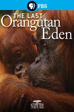 Thiên Đường Cuối Cùng Của Đười Ươi